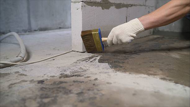 24/7 Emergency Foundation Crack Repair experts in Holt, MI
